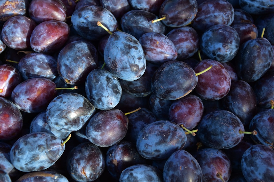 Shades of Plum: Names and Hex Codes
