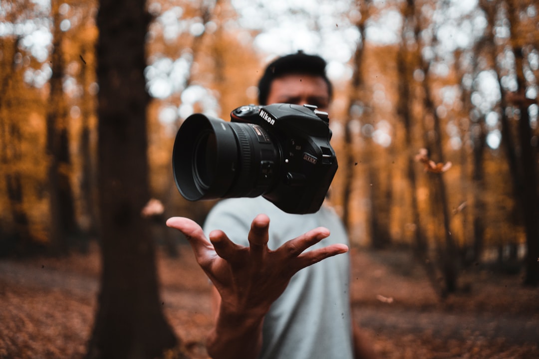 stock photography — guide and examples