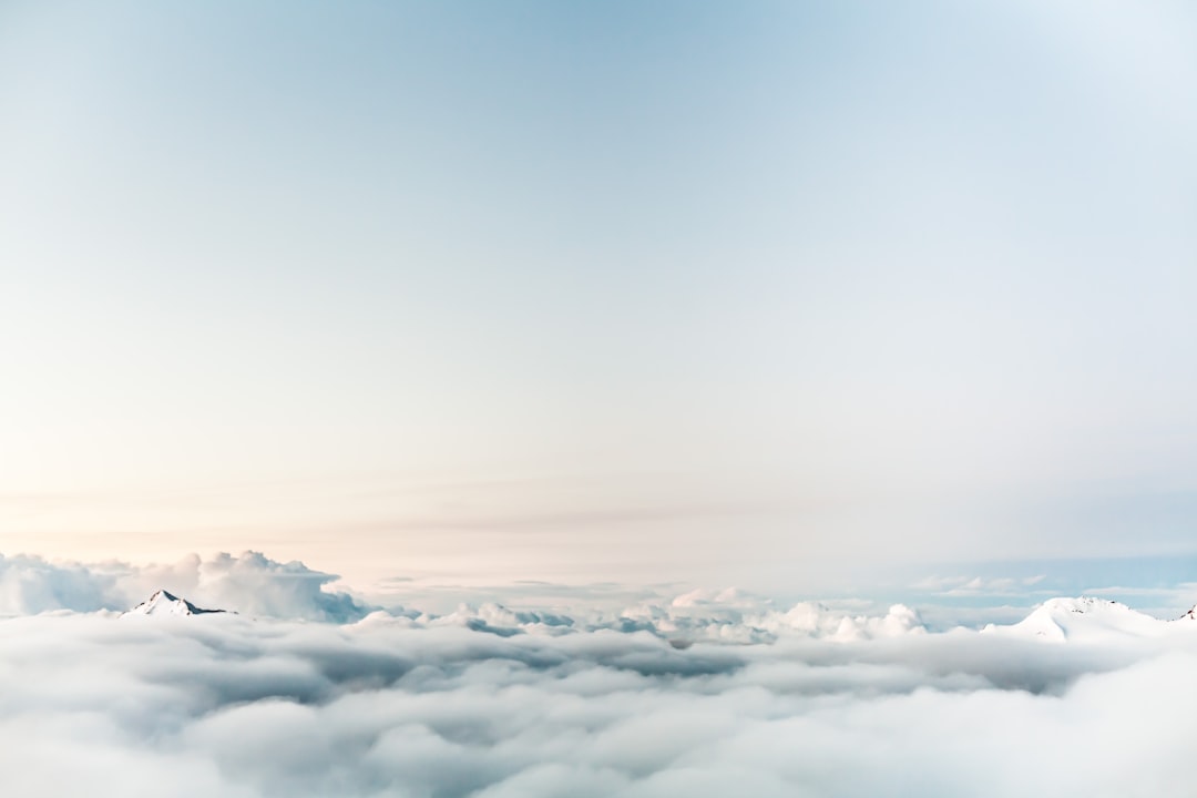 white space — guide and examples