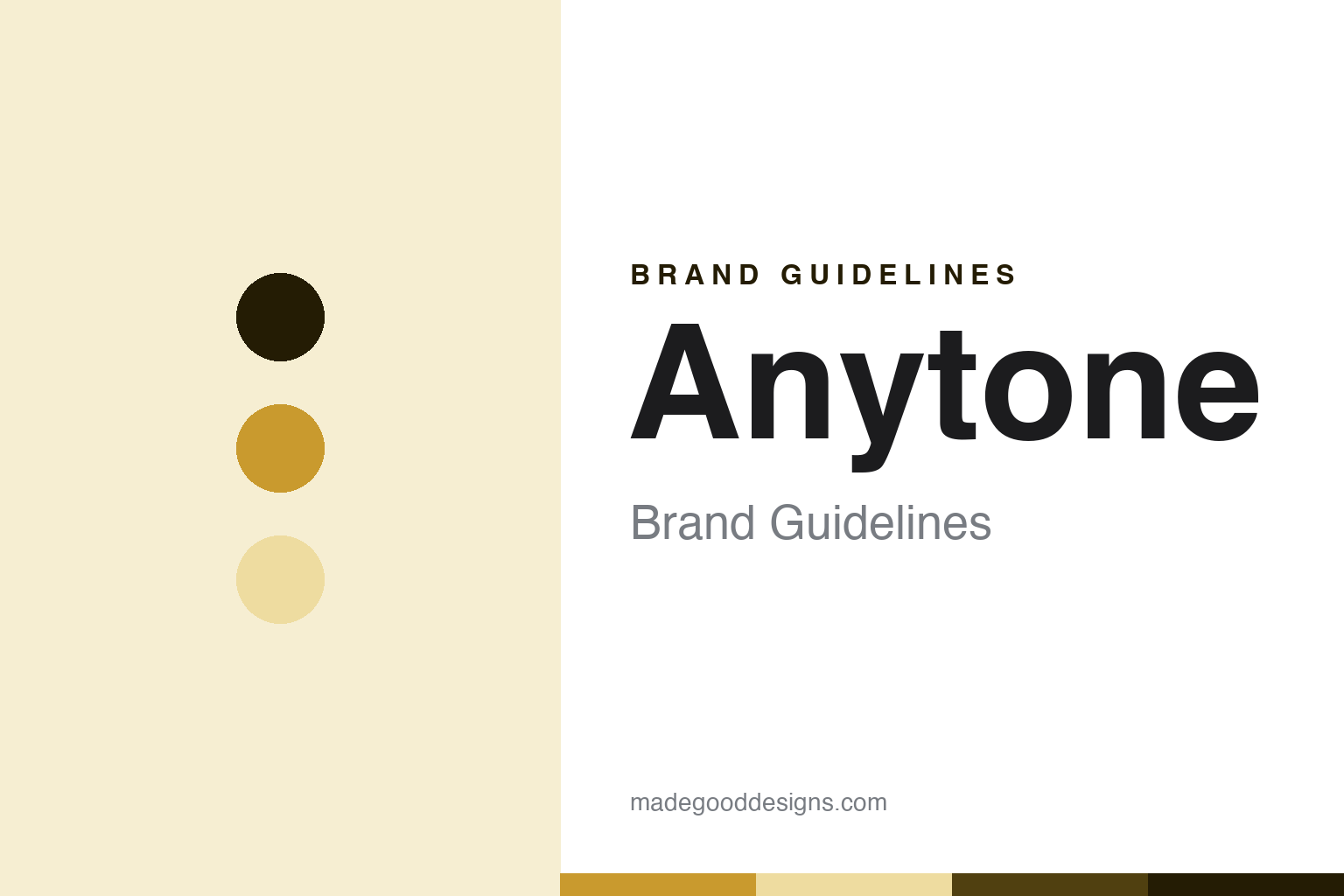 Anytone Brand Guidelines: The Value DMR Handheld