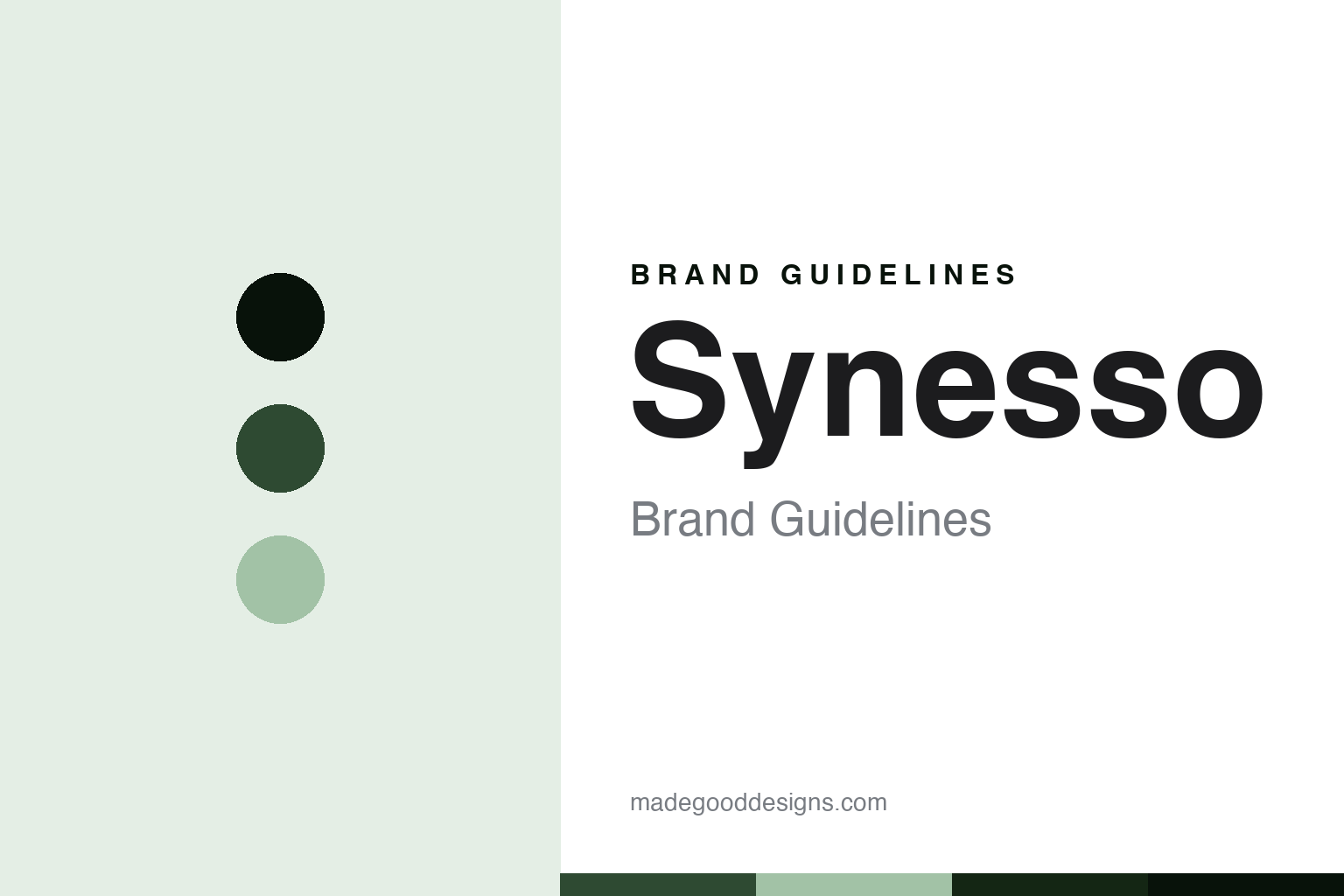 Synesso Brand Guidelines: The Seattle Workhorse