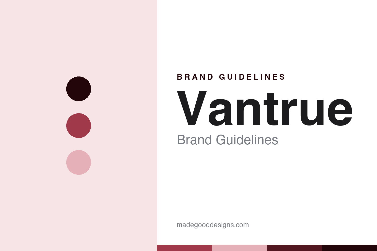 Vantrue Brand Guidelines: The Multi-Channel Specialist